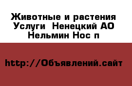 Животные и растения Услуги. Ненецкий АО,Нельмин Нос п.